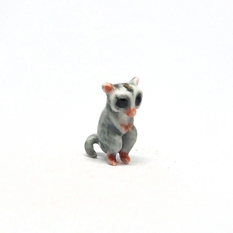 Tiny Raccoon
