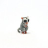 Tiny Raccoon
