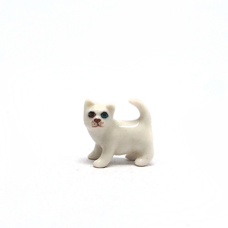 Tiny Cat