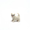 Tiny Cat