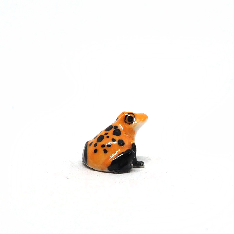 Tiny Frog