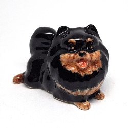 Black Pomeranian