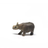 Tiny Rhino