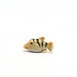 Tiny Fish