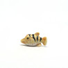 Tiny Fish