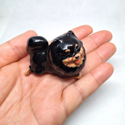 Black Pomeranian