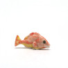 Tiny Fish