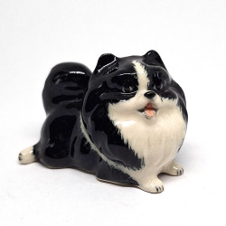 Black Pomeranian