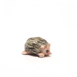 Tiny Porcupine