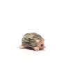 Tiny Porcupine