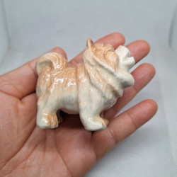 Chowchow Dog