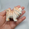 Chowchow Dog