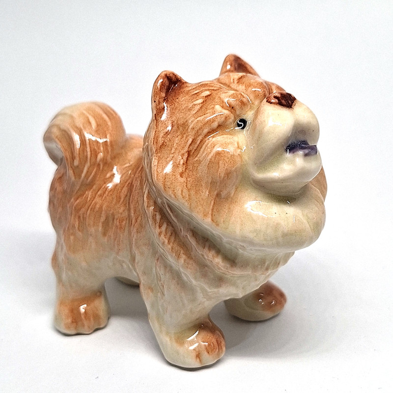 Chowchow Dog