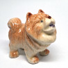 Chowchow Dog