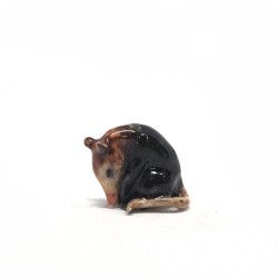 Tiny Horse