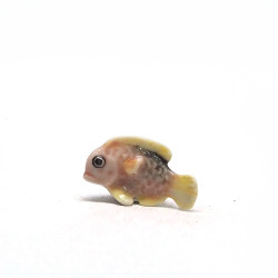 Tiny Fish