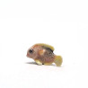 copy of Tiny Dog