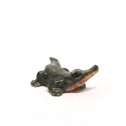 Tiny Croc
