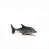 Tiny Dolphin
