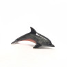Tiny Dolphin