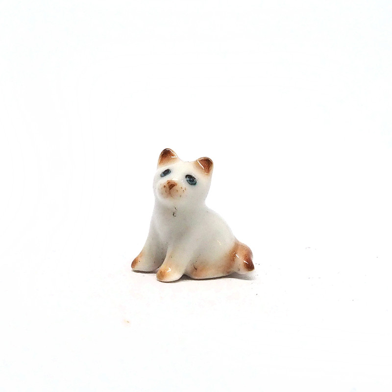 Tiny Cat