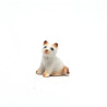 Tiny Cat