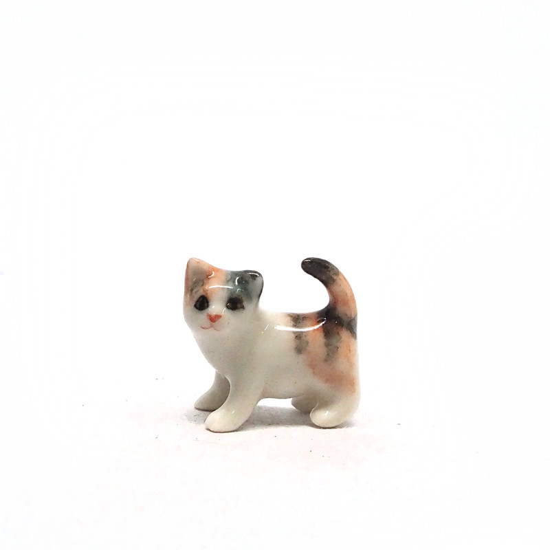 Tiny Cat