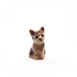 Tiny Cat