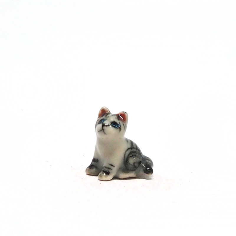Tiny Cat