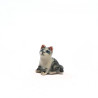 Tiny Cat