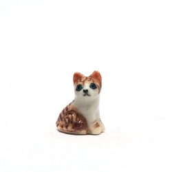 Tiny Cat