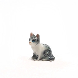 Tiny Cat