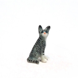 Tiny Cat