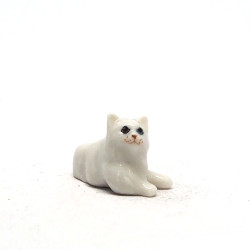 Tiny Cat