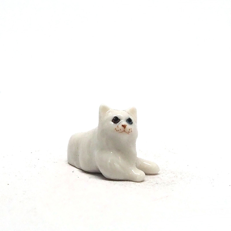 Tiny Cat