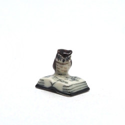 Tiny Owl