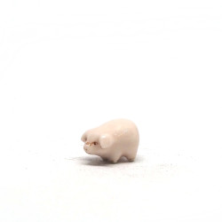 Tiny Pig