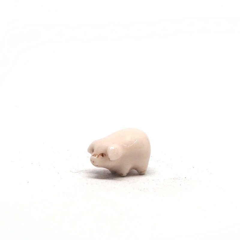 Tiny Pig