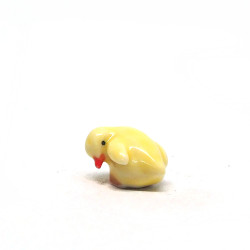 Tiny Chick