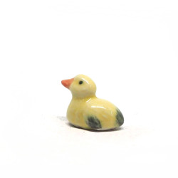 Tiny Duck