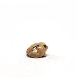 Tiny toad