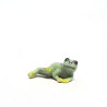 Tiny Frog