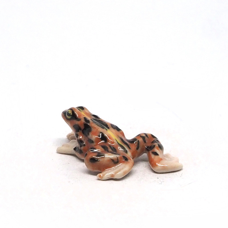 Tiny Frog