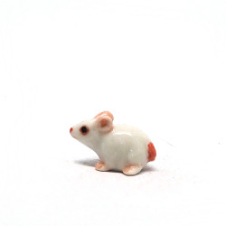 Tiny Rat