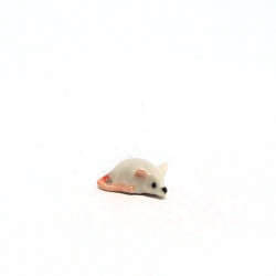 Tiny Rat