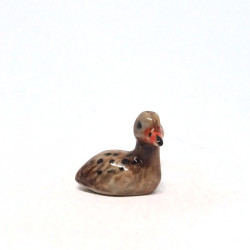 Tiny Duck