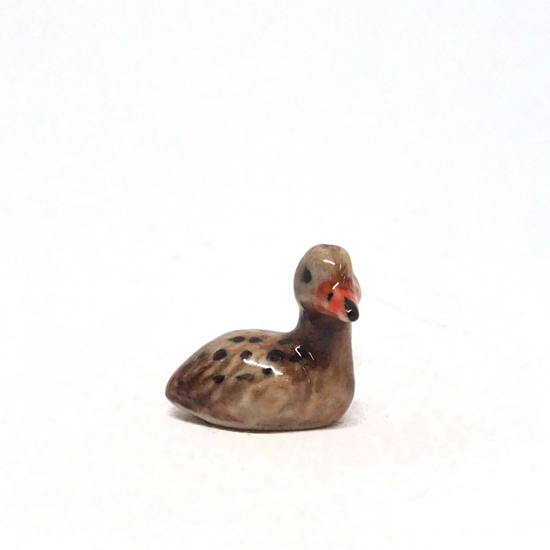 Tiny Duck