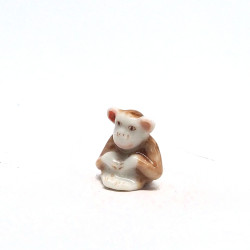 Tiny Monkey