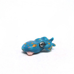 Tiny Squid