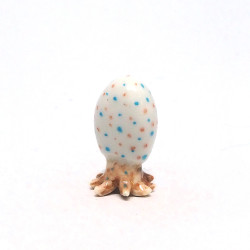 Tiny Squid